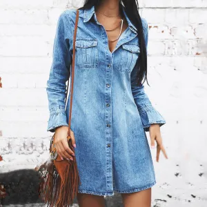 Mika Denim Shirt Dress